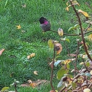 Meet your Posher, Lynn